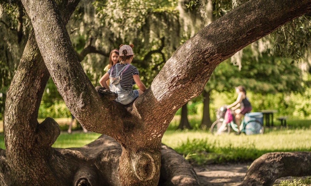 20 Must-Try Foods and Activities in New Orleans 16 A majestic live oak tree in New Orleans' City Park, its expansive branches sprawling wide and low, perfect for climbing. Several children play on the sturdy limbs, their laughter blending with the sounds of the park.